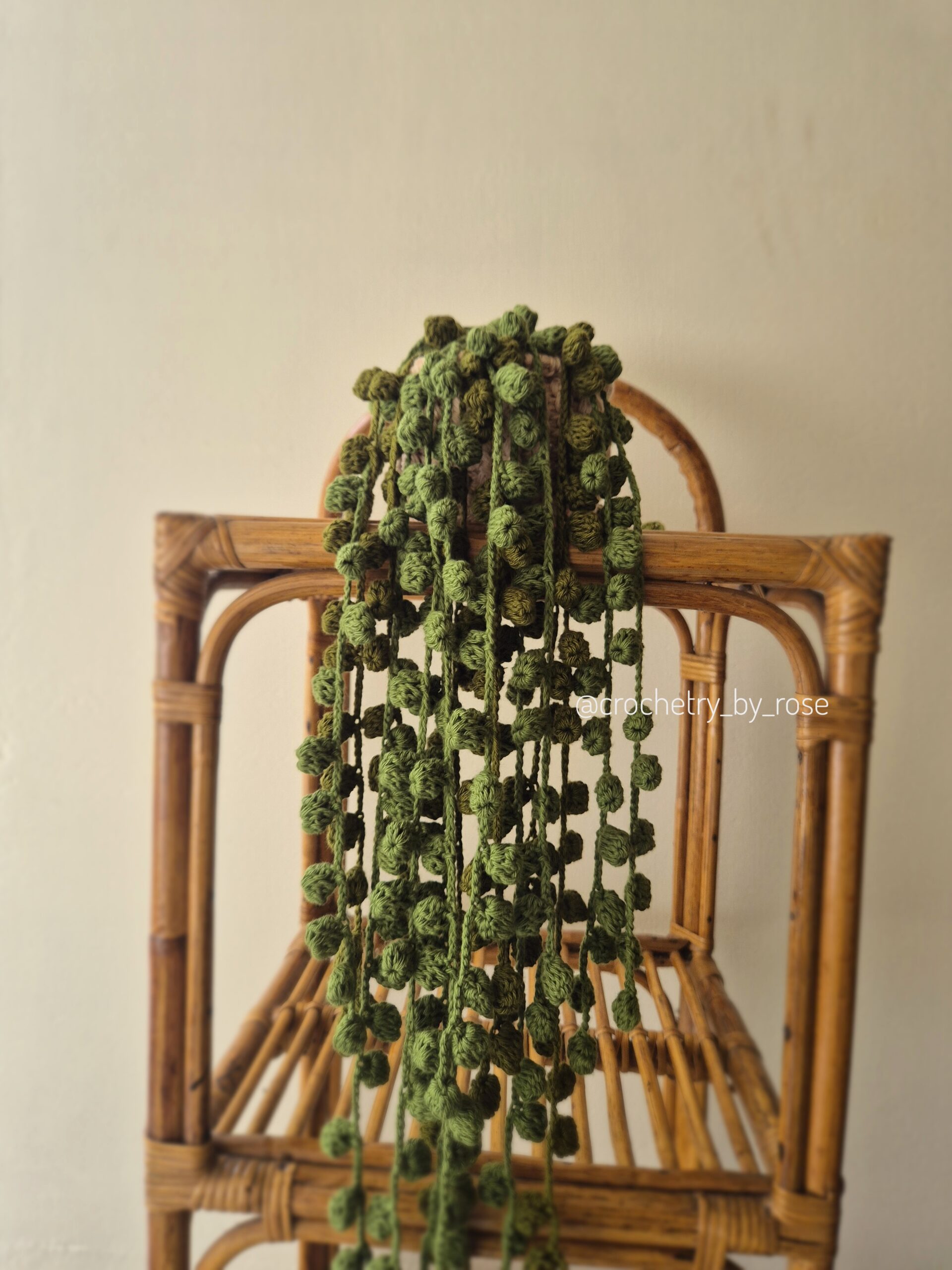 Crocheted Succulents | Crochet String of Pearls Succulent | Home Decor|Room Decor| Car hanging| Rearview Mirror Hanger| Crochet Car Accessories|Forever Plant